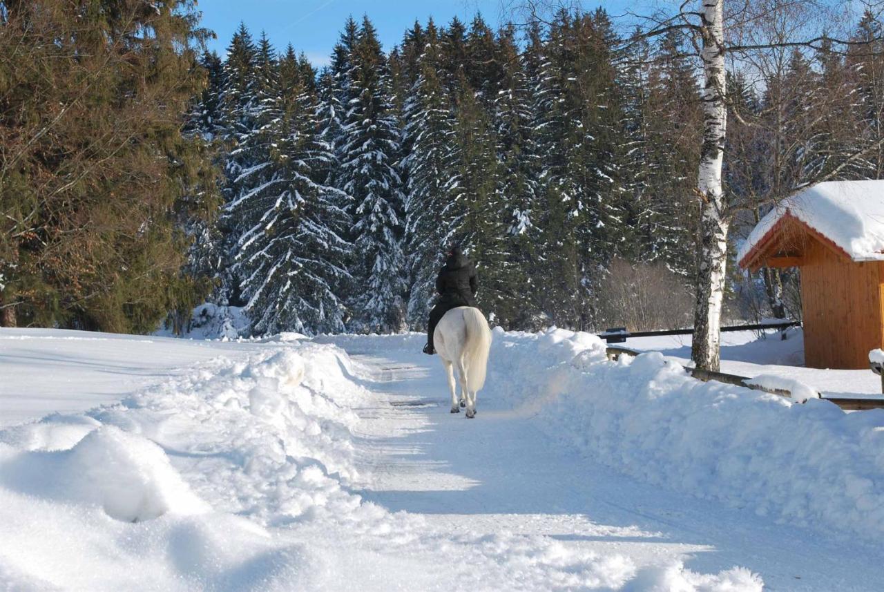 Ruheoase Am Forggensee Риден Екстериор снимка